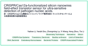 CRISPR/Cas12a機能化シリコンナノワイヤ電界効果トランジスタセンサーによる病原体核酸の超高感度検出 (PMID:40889469)
